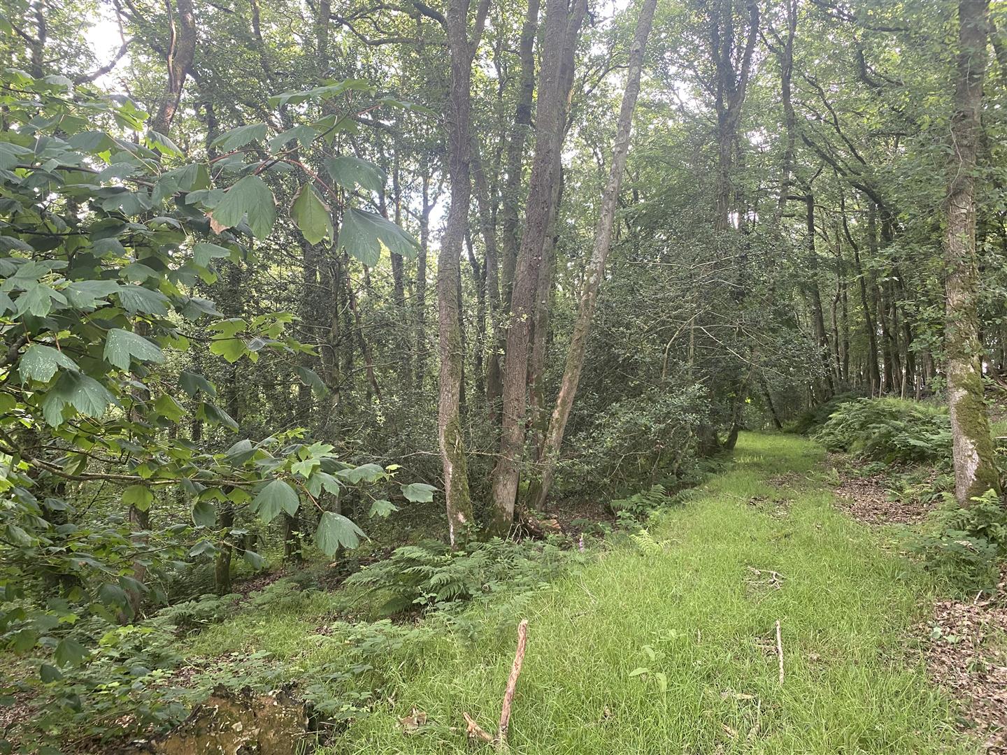 Property Auctions Evans Bros